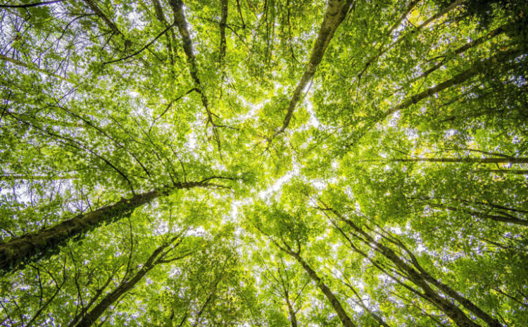  ESG: Doing Well by Doing Good