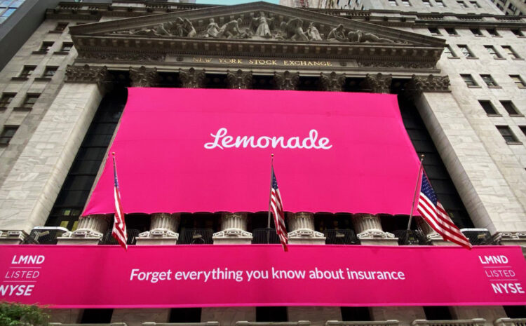  Lemonade Announces Two New Board of Director Appointments: Deb Schwartz and Dr. Samer Haj-Yehia