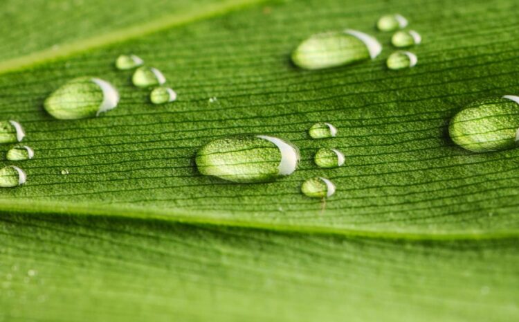  Here’s How Digital Technology Helps Insurers Hit Sustainability Targets