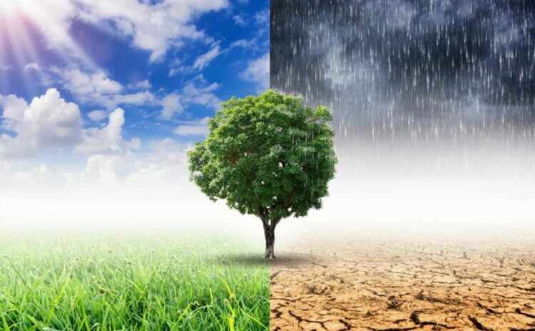  Increasing Regulation on Climate Change
