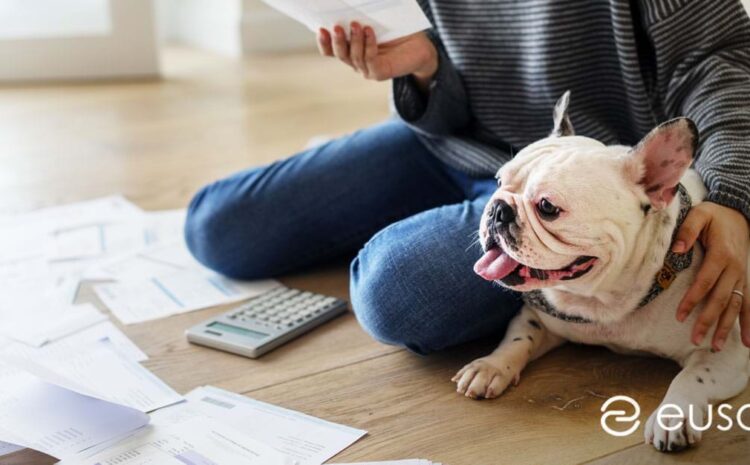  Eusoh Close $1.3M Round Led by Insurtech Gateway Alongside Sure Ventures