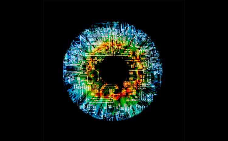  In Search of Trustworthy AI – is the Insurance Industry Using AI to Fairwash FICO Scores?