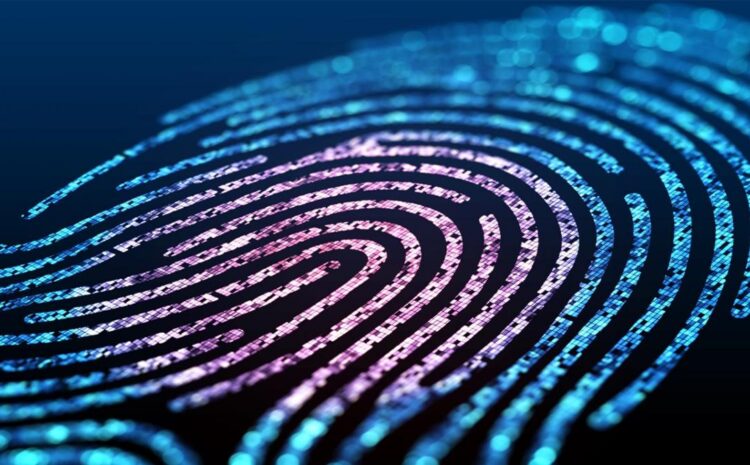  What Does Insurance’s Digital Future Hold for Actuarial?