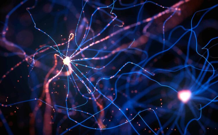  How AI, data analytics could help identify insurance fraud