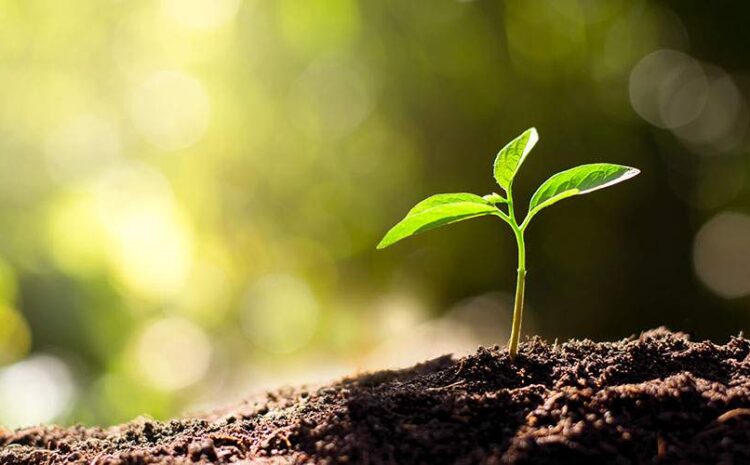  Carbon Limiting Tech Creates New Opportunities for Insurers
