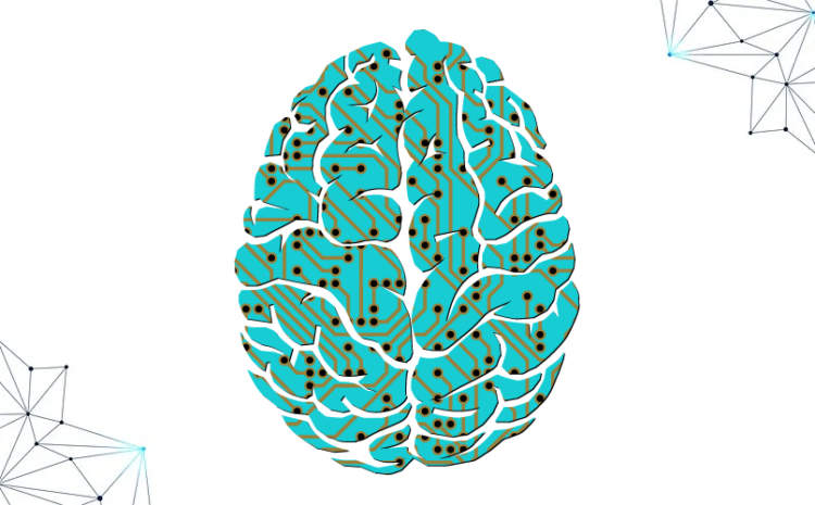  Machine Intelligence In Insurance: Insights For End-To-End Enterprise Transformation