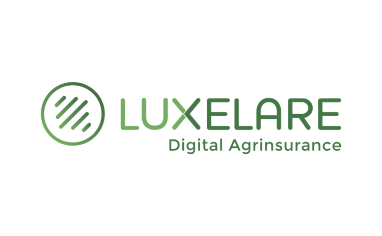  Luxelare