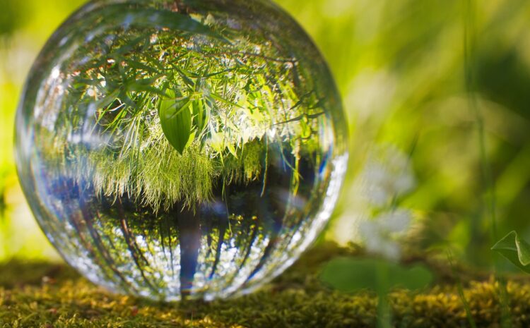  How ecosystems transform the insurance customer experience