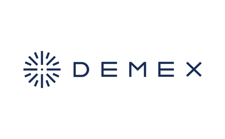  The Demex Group