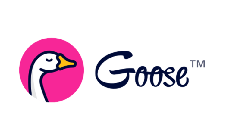  Goose Insurance Services
