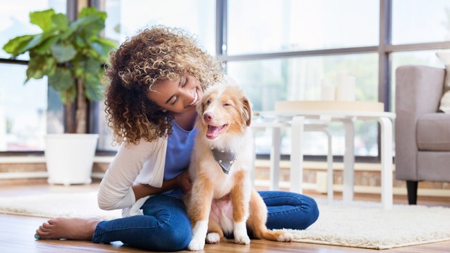  Odie Pet Insurance Raises $3M in Funding