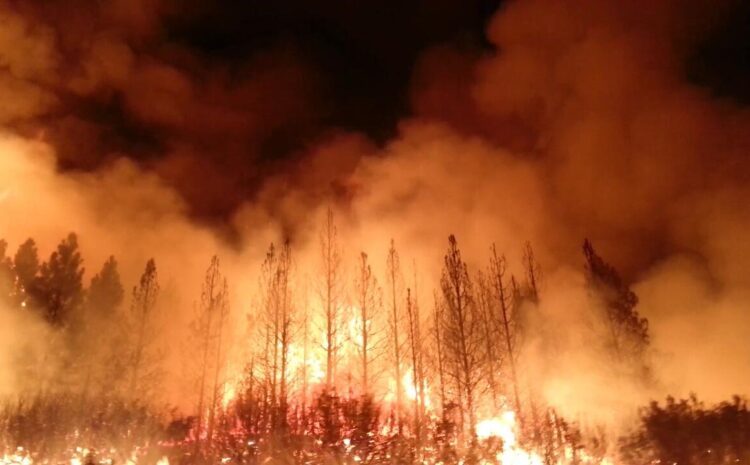  Insurers leverage AI, tech for wildfire risk analysis