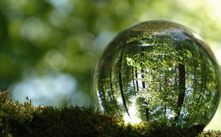  How can the insurance industry be more sustainable?