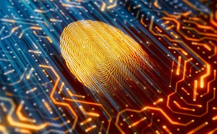  How insurance carriers are setting new cyber standards