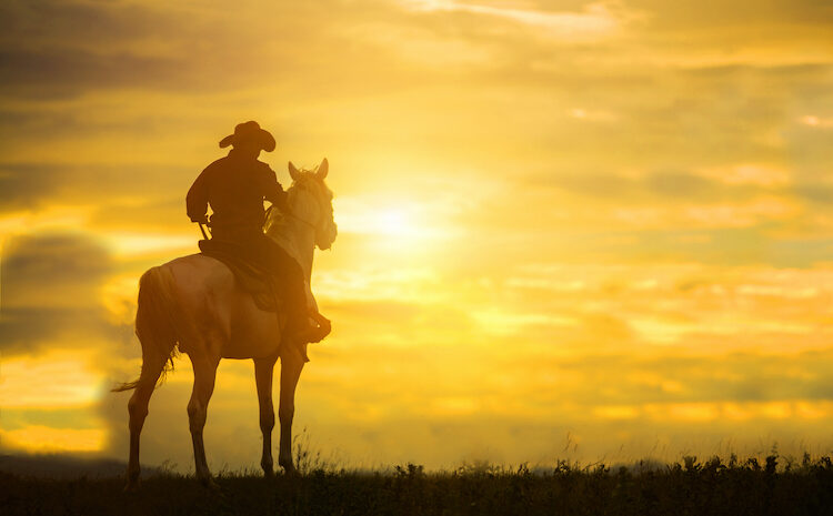  Next Gen Group and Voluntary Benefits: Insurance’s Latest Wild West
