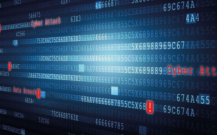  CNA Hardy rolls out suite of cyber cover for tech firms