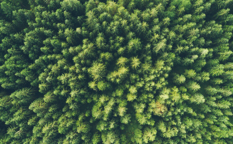  The relevance of sustainable insurance in Europe
