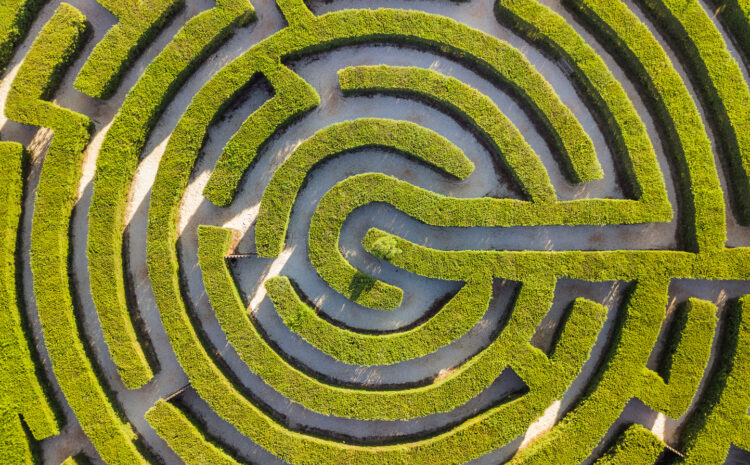  Could the insurance industry help trigger a new wave of nature-based solutions?