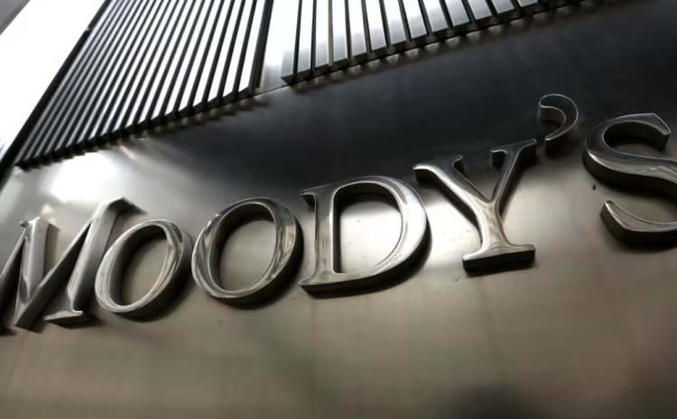  Moody’s Predicts Continued Reinsurance Price Increases in 2024