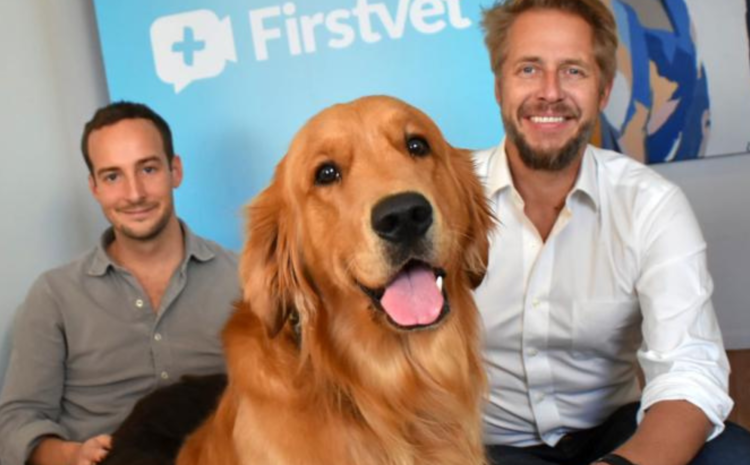  FirstVet Partners with Fletch to Enable a Pet Insurance Marketplace