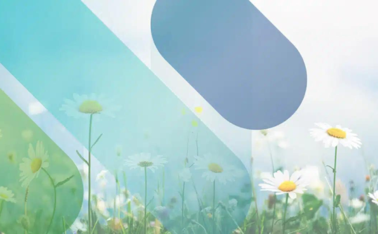  Majesco Ranks 23rd on the Top 100 Software Companies List