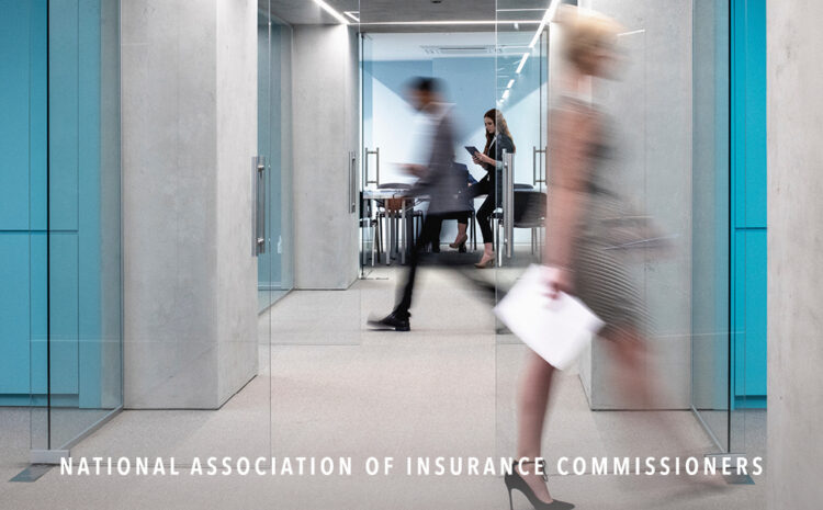  FIVE Key Findings from the 2022 NAIC Insurance Department Resources Report