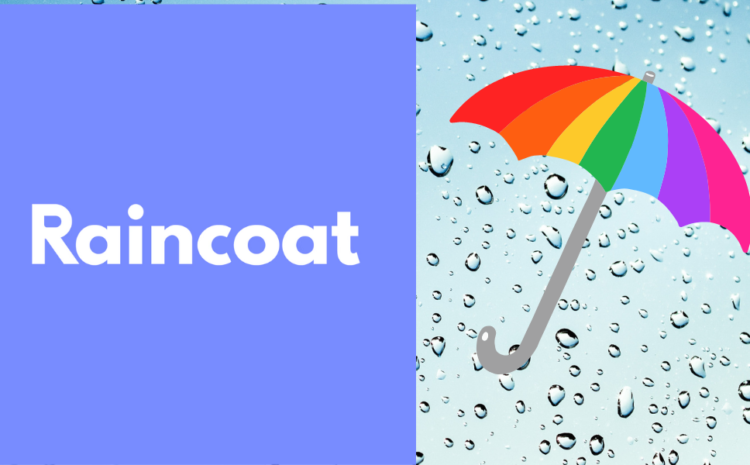  Insurtech Raincoat Raises US$6.5 Million to Invest in Financial Resiliency in the Wake of Climate Disaster