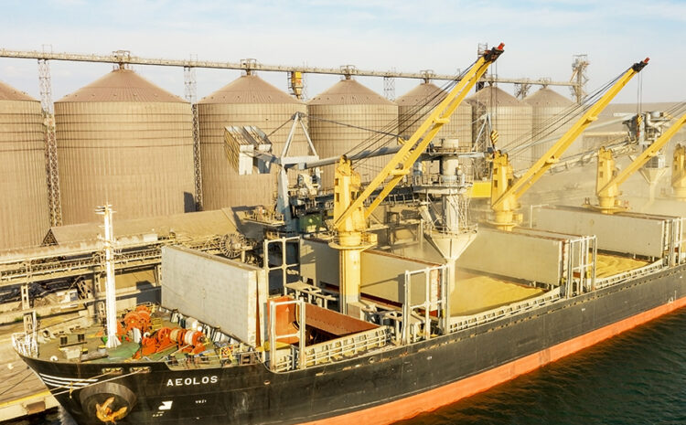  Ukraine Cargo Insurance Policy Suspended as Russia Withdraws from Grain Deal