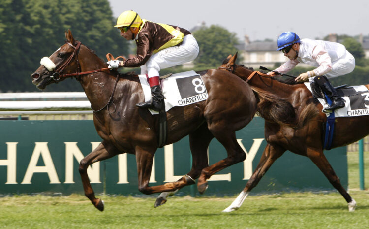  Bloodstock Underwriting Leader DUAL, Completes Acquisition of David Ashby Underwriting