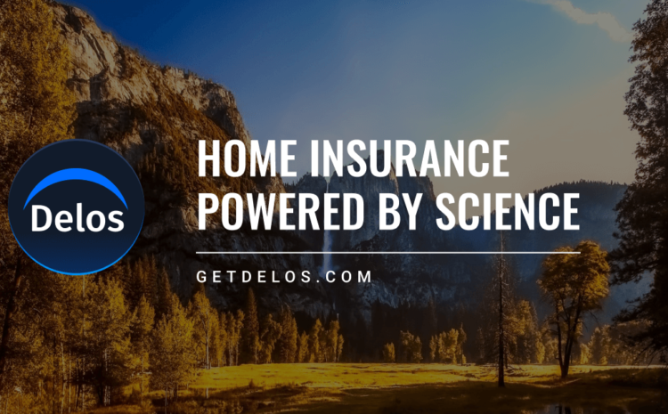  Delos Insurance Solutions Secures US$7.3 Million in Seed Funding Extension Round