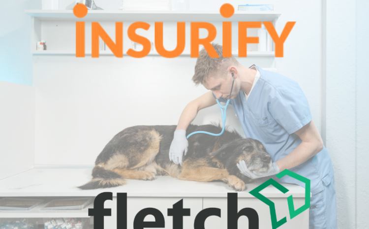  Insurify Partners with Fletch to Launch New Pet Insurance Coverage