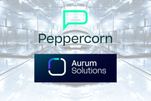 Peppercorn AI Partners with Aurum Solutions to Drive Scalability