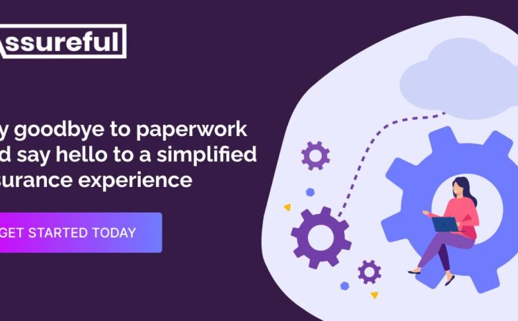  Insurtech Assureful Raises US$1.5 Million in Pre-Seed Round