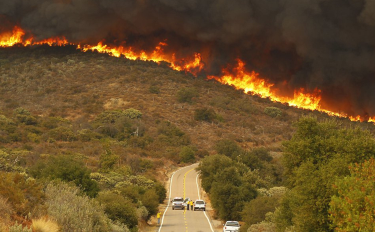  CSE Insurance Group Becomes Seventh Major Insurer to Announce Withdrawal from California