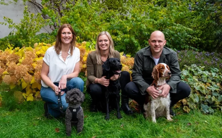  Swedish Insurtech Lassie Secures €23 Million in Series B Funding to Revolutionise Pet Insurance