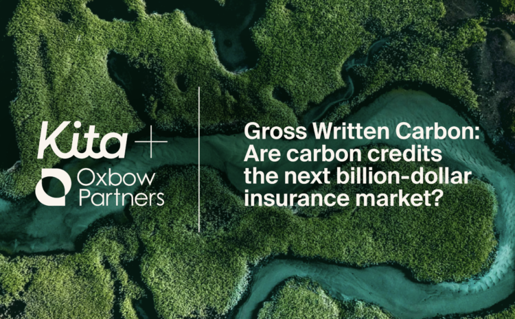  Oxbow Partners and Kita Reveal New Report on Carbon Credits in the Insurance Market