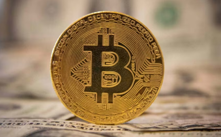  Bitcoin Insurance and Custody Solution, AnchorWatch, Partners with Insly