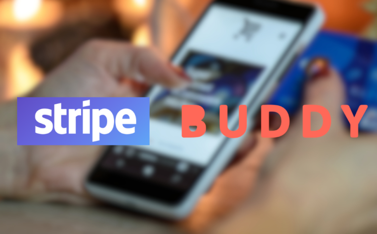  Buddy Advances E-Commerce in the Insurance Industry as a Stripe Platform Partner