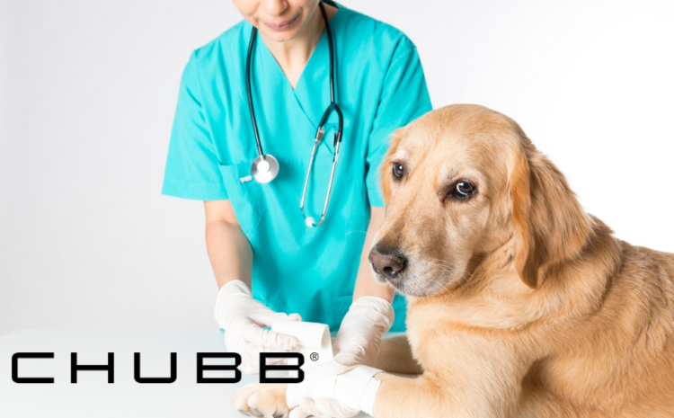  Chubb Acquires Healthy Paws, Expanding in Pet Insurance Market