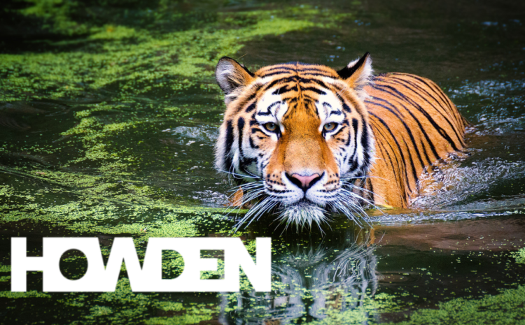  Howden Tiger to Rebrand as Howden Re