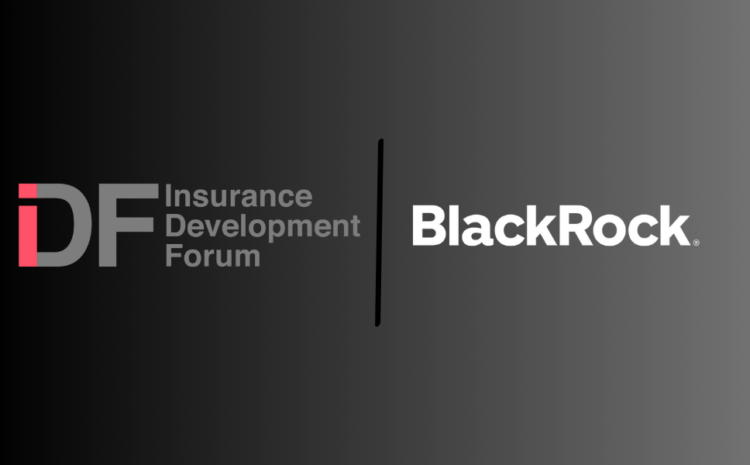  IDF Launches Strategy with BlackRock to Drive Investment in Resilient Infrastructure