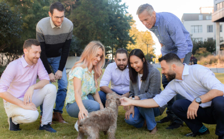  Rainwalk Technology Raises US$4 Million in Seed Funding