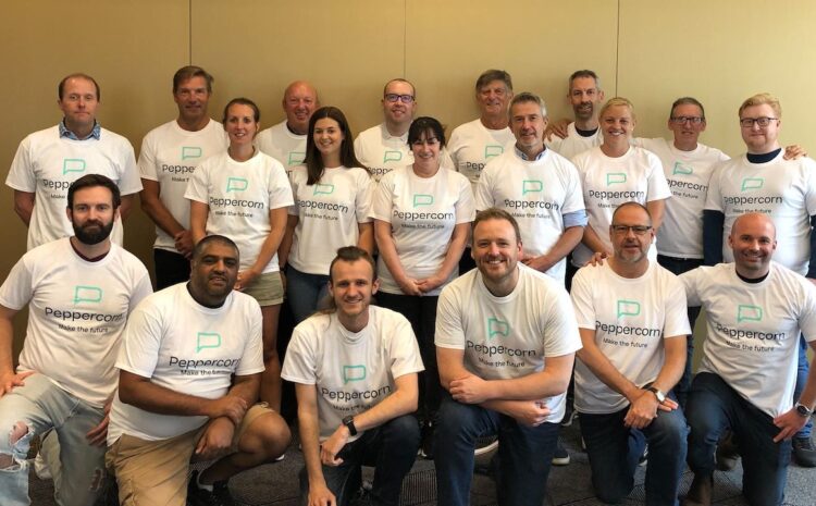  PeppercornAI Raises US$4 Million to Advance AI Integration in Insurance