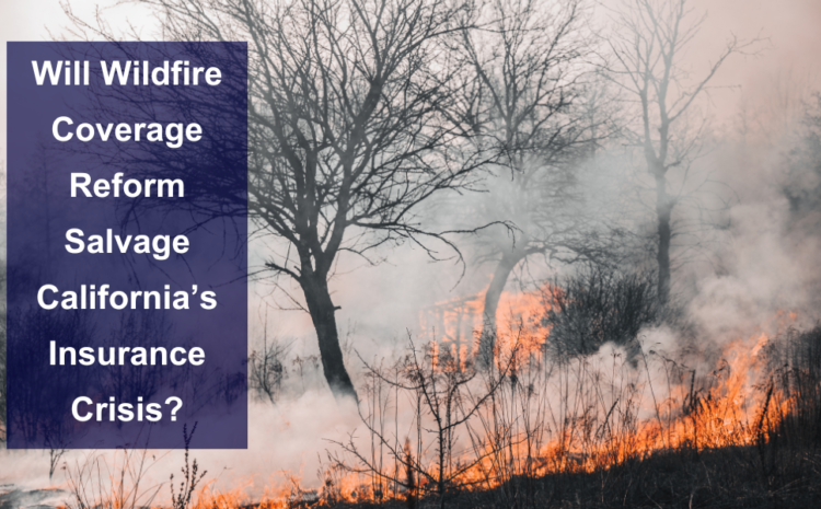  Will Major Wildfire Coverage Reform Salvage California’s Insurance Crisis? 
