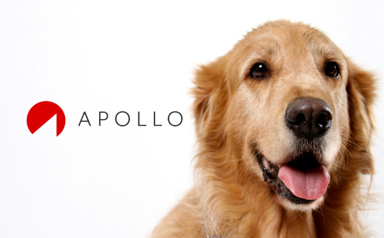  APOLLO Launches Pet Insurance Product