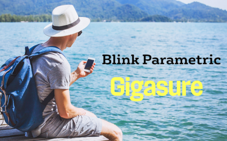  Blink Parametric Launches Travel Assistance App with Gigasure