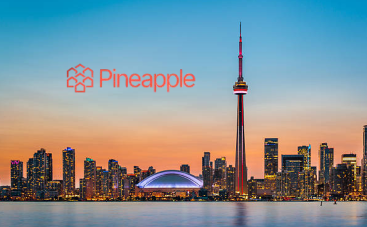  Pineapple Financial Launches Pineapple Insurance