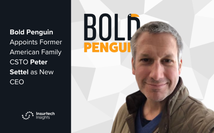  Bold Penguin Appoints Peter Settel as New CEO