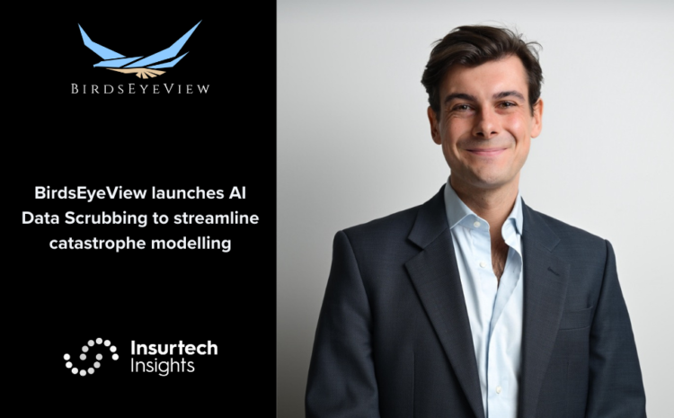  BirdsEyeView launches AI Data Scrubbing to streamline catastrophe modelling